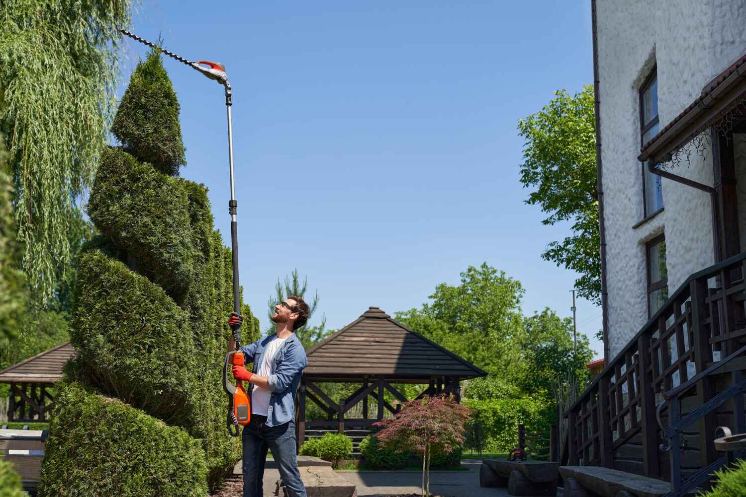 Best Tree Trimming Near Me  in Orion, IL